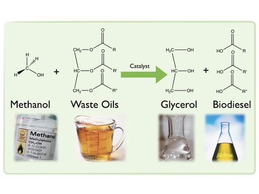 biodiesel schematic.001